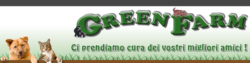 Home Pensione Green Farm | Castelraimondo